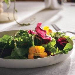 Salade fraîche sur un plateau, composée d’un assortiment coloré de légumes
