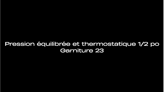 Garniture 23 Vannes thermostatiques d’équilibrage de pression 1/2 po