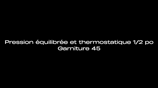 Équilibre thermostatique et de pression 1/2 po - Spa simple